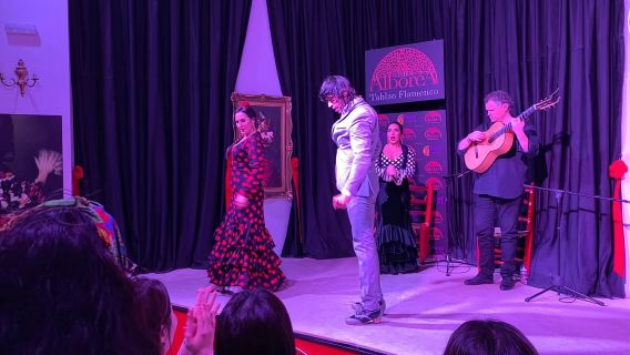 Albaicín y Sacromonte: Tour con espectáculo flamenco