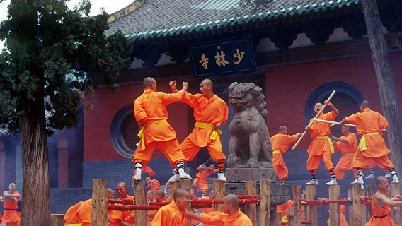 Excursión de un día a las Grutas de Longmen, el Templo del Caballo Blanco y el Templo Shaolin [Tour privado + recogida en el hotel + transporte y guía exclusivos]