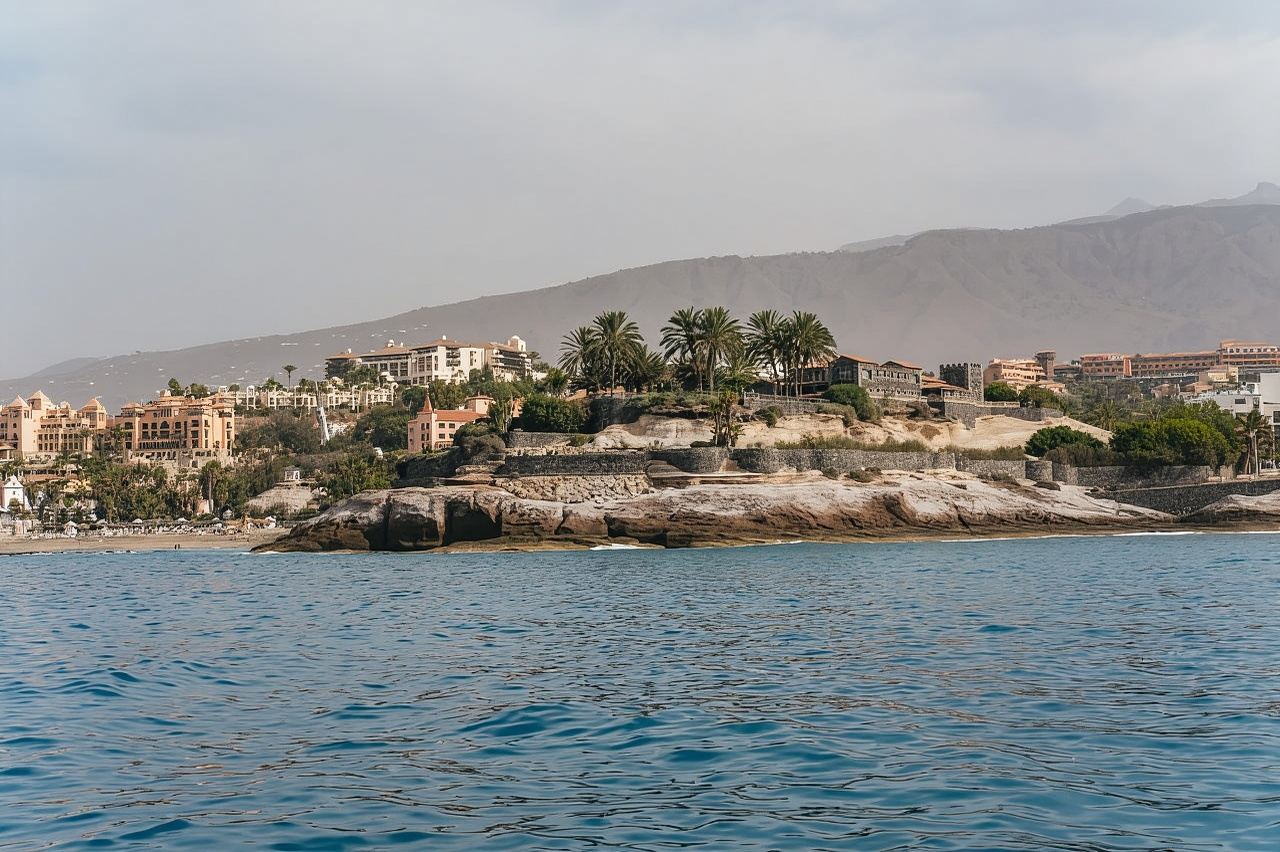 Costa Adeje: Crucero ecológico para avistar ballenas y delfines con aperitivos y bebidas