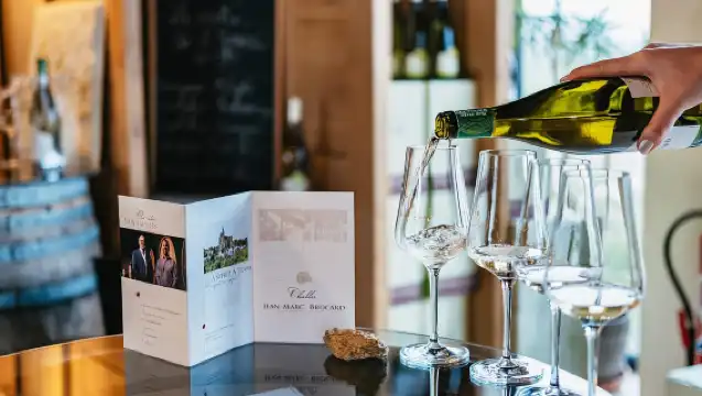 從巴黎出發：勃根地地區酒莊品酒之旅