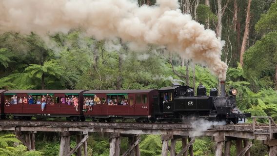 Tour giornaliero in treno a vapore Puffing Billy a Melbourne con guida in cinese/inglese - Consulta la disponibilità prima di prenotare