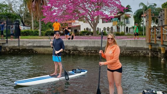 St. Petersburg: Paddle Board Tour with Wildlife Spotting