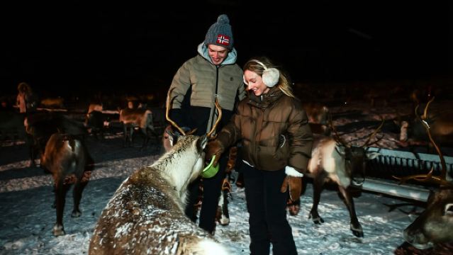 Tromsø: Reindeer Sled, Dinner, and Chance of Northern Lights