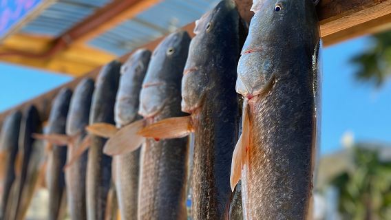Private Bay Fishing South Padre Island