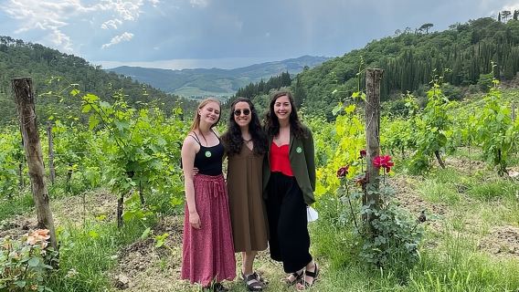Chianti Vineyards Escape from Florence with Two Wine Tastings from Florence