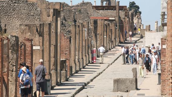 Pompeii and Naples from Rome: Small Group Day Tour with Lunch