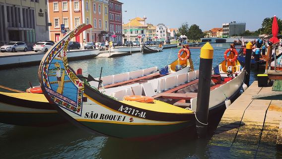 Private Cultural Tour Aveiro and Coimbra from Porto