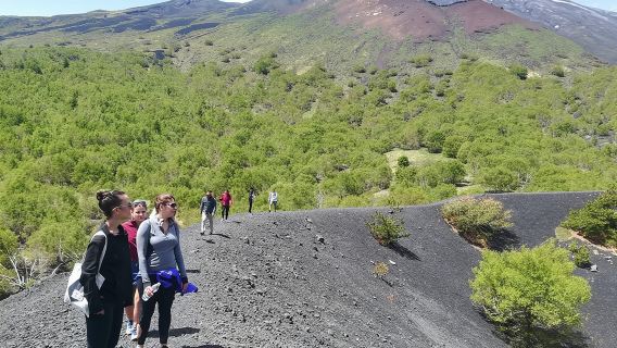 Excursión de medio día al Monte Etna en grupo reducido desde Taormina