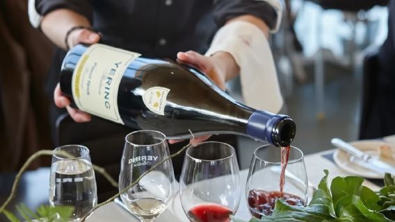 Tour di un giorno a Melbourne con degustazione di vini e cibo nella Yarra Valley + trasferimento da Melbourne + visita alla cittadina di Healesville