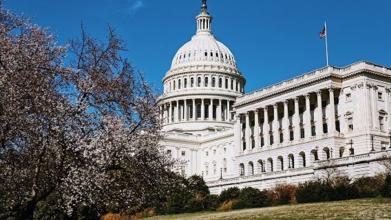 Capitol Hill: Small-Group Guided Walking Tour