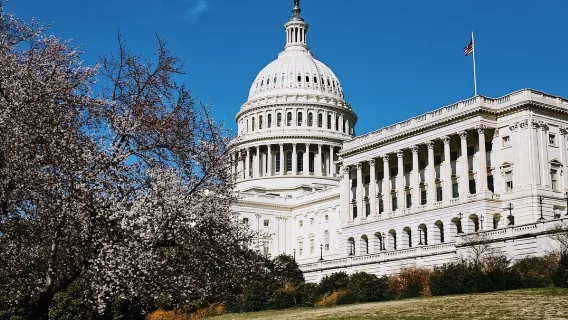 Capitol Hill: Small-Group Guided Walking Tour