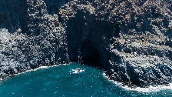 Tenerife Whale Watching and Snorkeling Yacht Trip