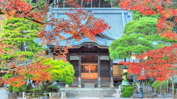 日本伊豆修善寺+大室山+城崎海岸一日