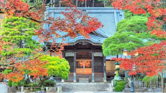 日本必買交通票｜JRPASS富士山＋靜岡區域3日周遊券 Mini｜台灣地區宅配