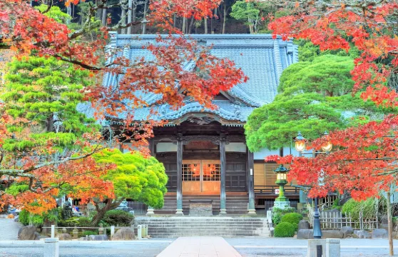 日本伊豆修善寺+大室山+城崎海岸一日