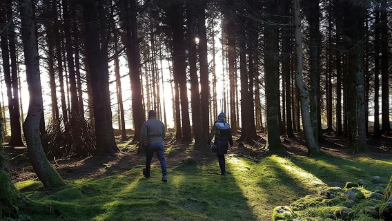 Trails and Tombs tour in the Dublin mountains