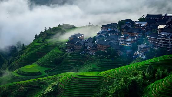Guilin + Longji + Ping'an Rice Terraces 1-day tour (Business car small group + optional English/French guide)