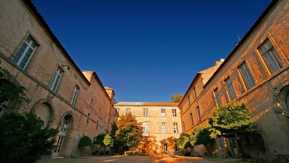 Unusual visit & Tasting of our organic wines