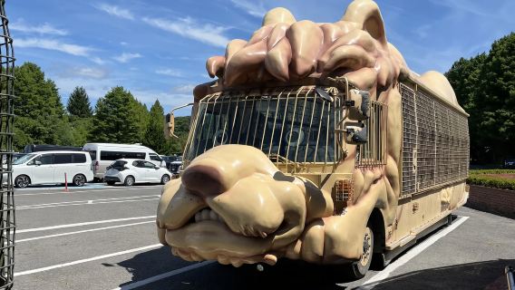 Anime Detektif Conan|perjalanan satu hari ke Oita Yufuin & Kebun Binatang Alam Kyushu & Neraka Umizu