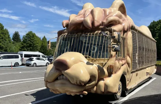 名偵探柯南動漫|大分由布院&九州動物園&海灶地獄 櫻花一日遊