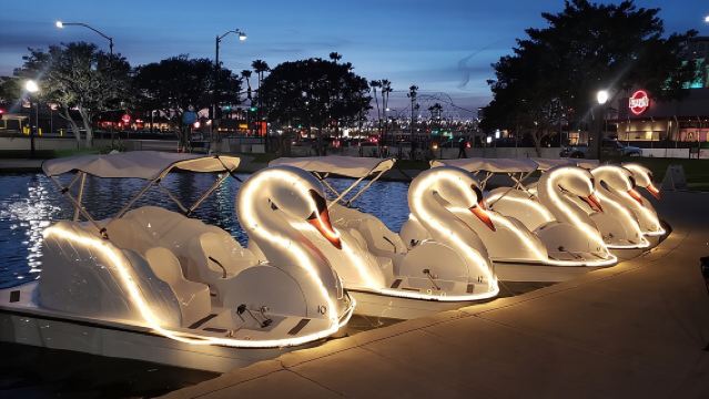 Swan Boat Rental at Rainbow Lagoon in Long Beach