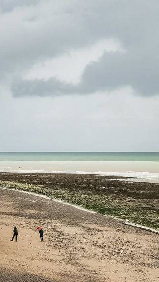 1-day tour to Seven Sisters White Cliffs in South Downs National Park from London, UK - Small group + Train ticket included