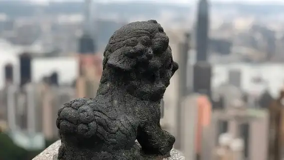 6-Hour Private Hong Kong Layover Tour