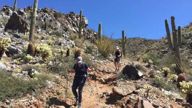Petualangan Hiking Terpandu Scottsdale Desert Classic