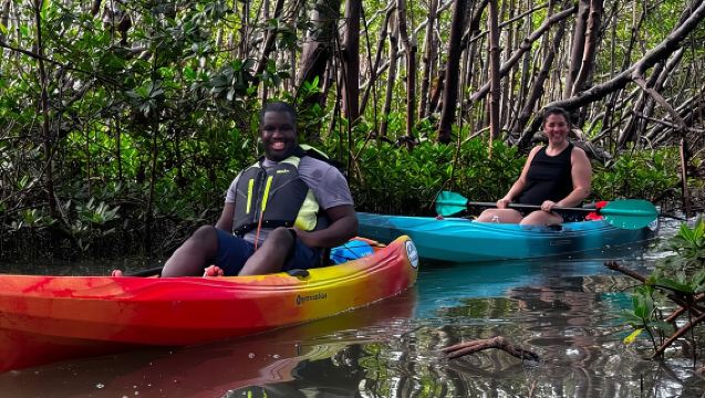 Self Guided EcoTour: Clear/Standard Kayaks -Bonita Springs