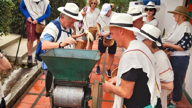 Coffee Farm and Santa Rosa Hot Springs Tour from Pereira or Armenia