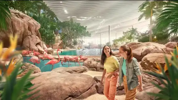 阿布達比謝赫扎耶德大清真寺+阿布扎比海洋世界一日遊