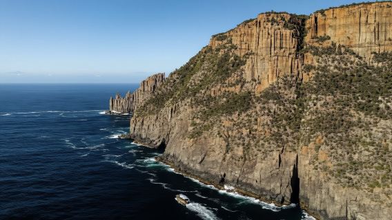 タスマニア タスマン半島クルーズ ワンデーツアー【英語サービス+自主参加+昼食付き】