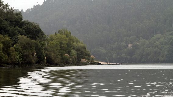 Porto: Tour naturalistico in barca sul Douro