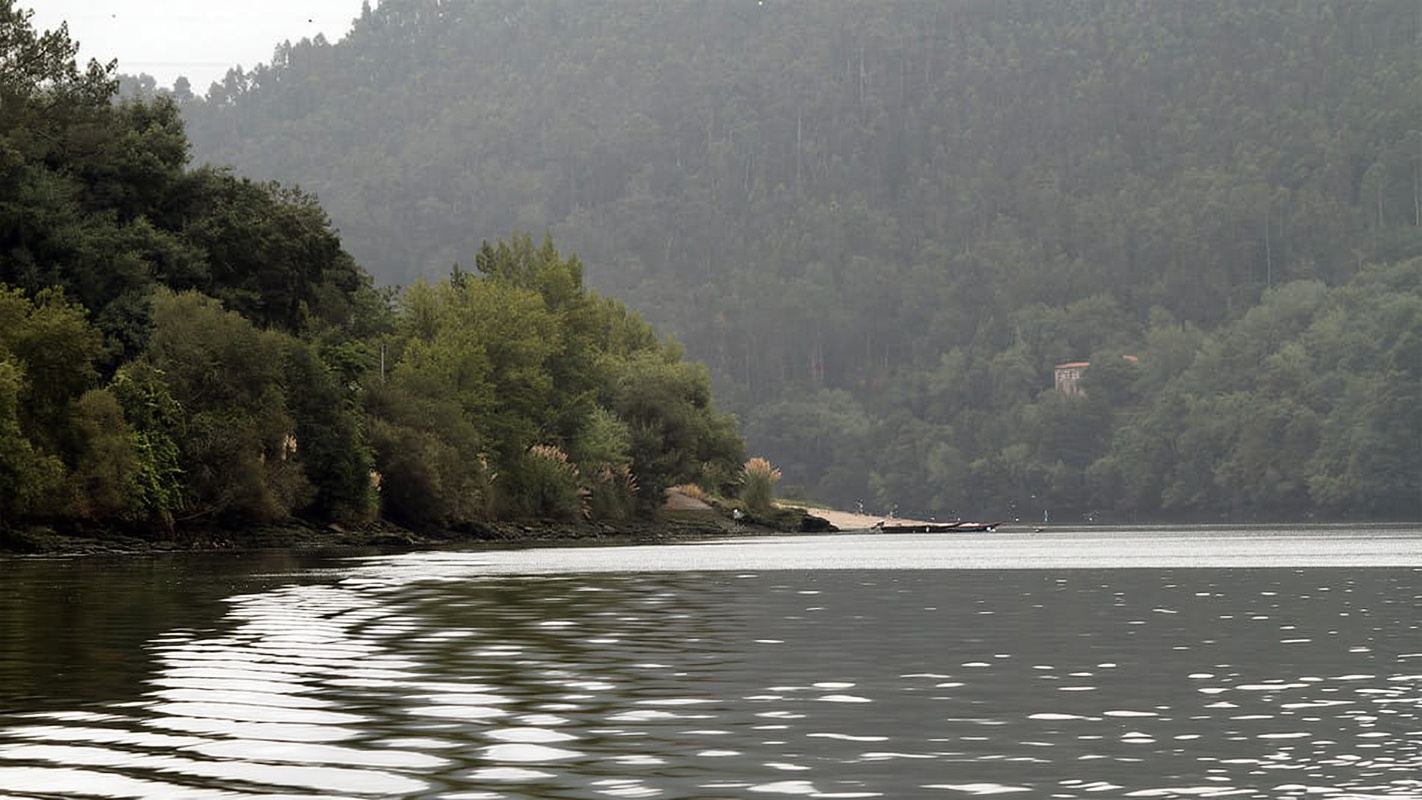 Porto: Tour naturalistico in barca sul Douro