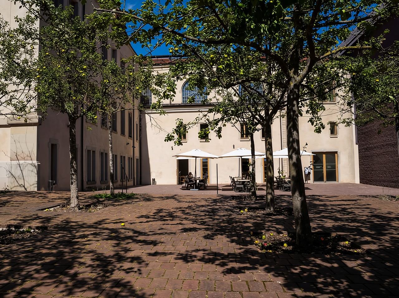 Colmar: Entry ticket to the Unterlinden Museum