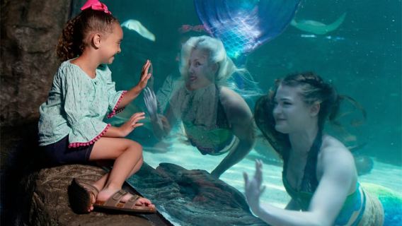 Ripley's Aquarium of Myrtle Beach Entry Ticket