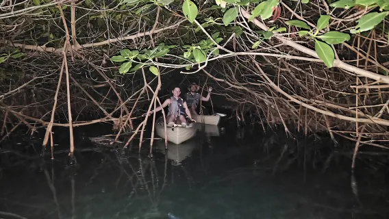 Cancun: tour in kayak nella laguna di Nichupte