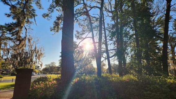 Tur Sepeda Listrik Swadaya Wilmington River to Sea selama 5 Jam