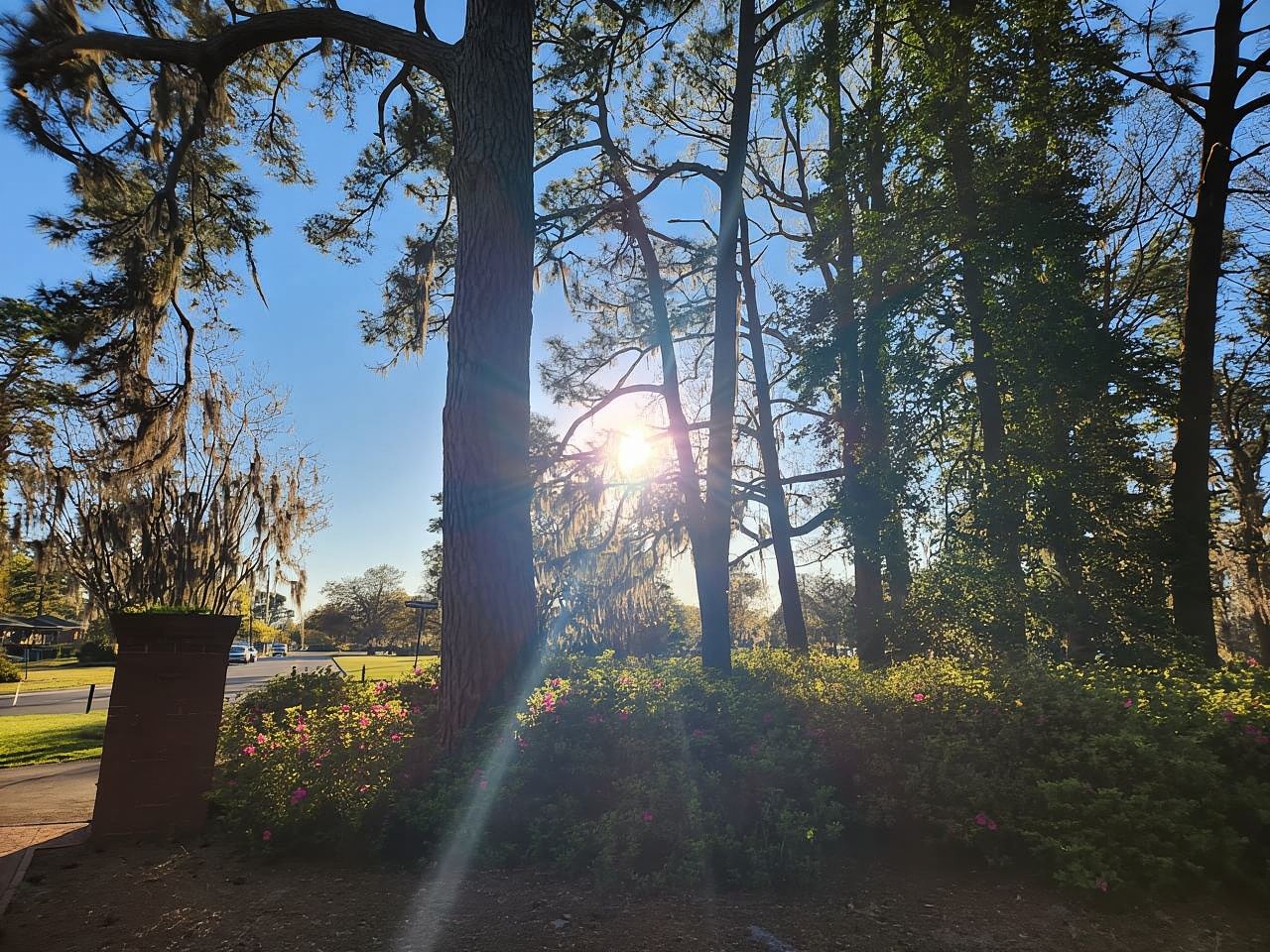 Tur Sepeda Listrik Swadaya Wilmington River to Sea selama 5 Jam