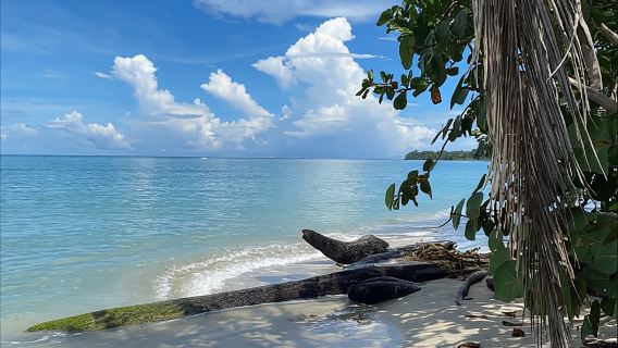 Cahuita: Geführte Wanderung durch den Cahuita-Nationalpark
