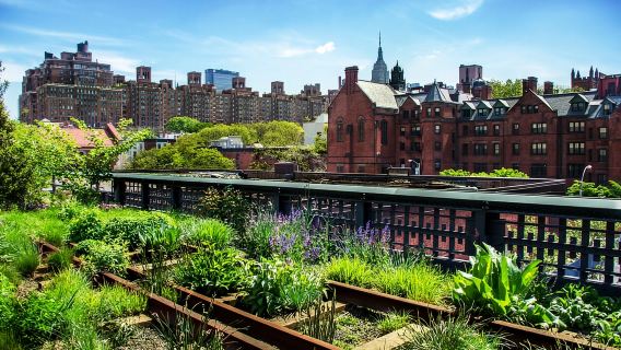 Meatpacking District: Chelsea Market and The Highline Tour