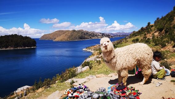 Puno: Excursion to Copacabana and Sun Island