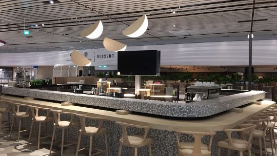 Singapur: Eintritt zur Premium-Lounge am Flughafen Changi