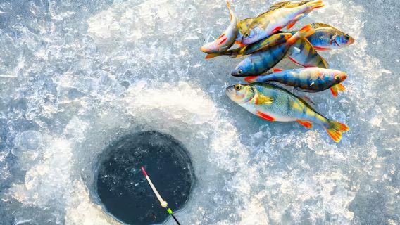 Pesca, paseos con perros y motos de nieve en Graehl Park, Fairbanks, EE. UU.