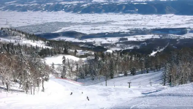 北海道滑雪場巴士票【新千歲機場/札幌/留壽都/二世古/富良野/TOMAMU/洞爺湖/登別/旭川】