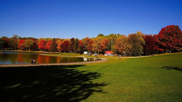 Montreal Mount Royal Park + Old Montreal + Old Port Tour