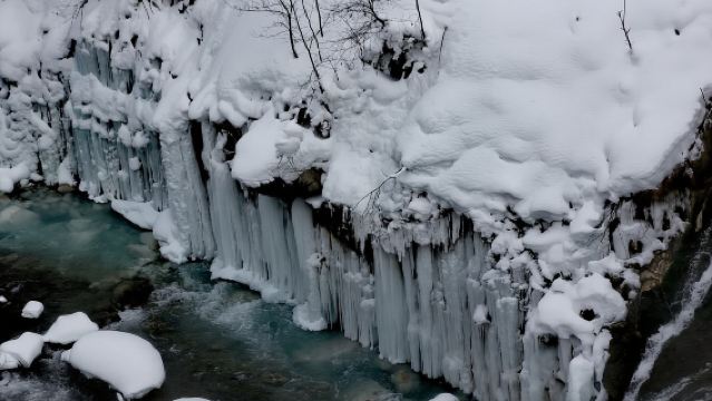 日本札幌來回+旭山動物園+白鬚瀑布+七星之樹+青池/私家包車
