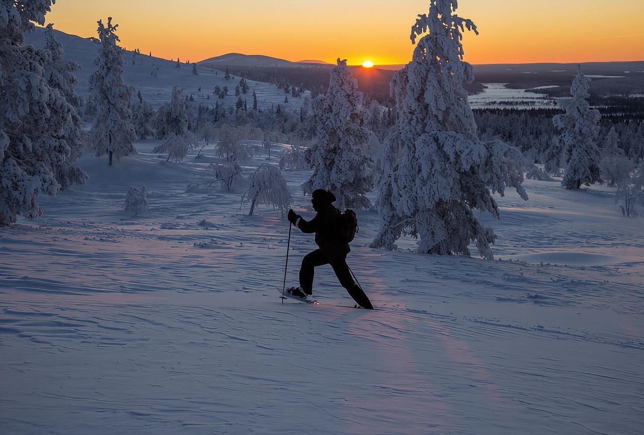 Levi: Pallas-Yllästunturi National Park Snowshoeing Tour