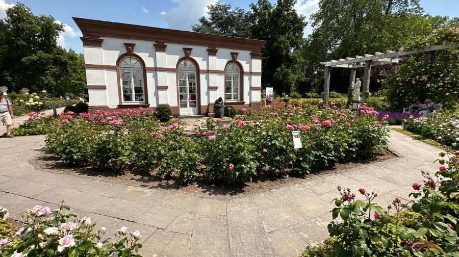 法蘭克福棕櫚園+動物園+美茵塔+法蘭克福城市森林中文包車一日遊