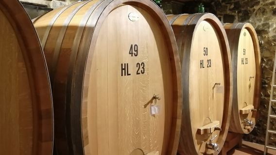 Van Siena: Brunello di Montalcino Rondleiding met Wijnproeverij Inclusief Lunch